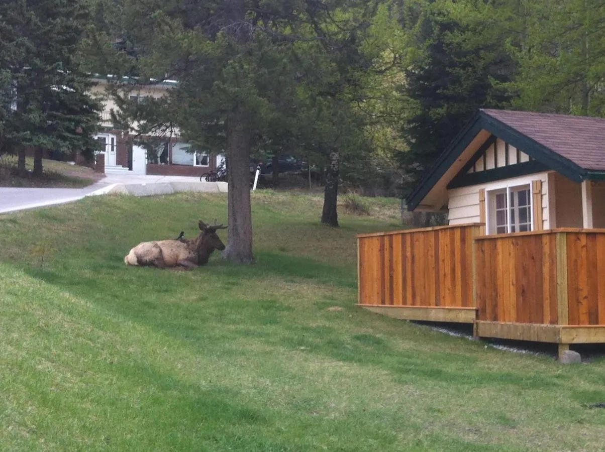 Hillside Bungalows Banff Holiday park